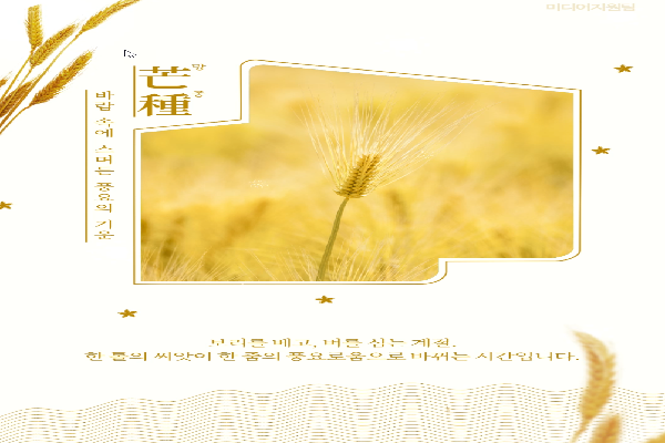 [망종]바람 속에 스며든 풍요의 기운