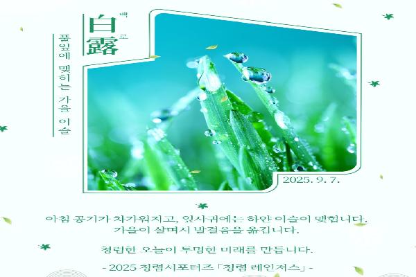 풀잎에 이슬이 맺힌 장면